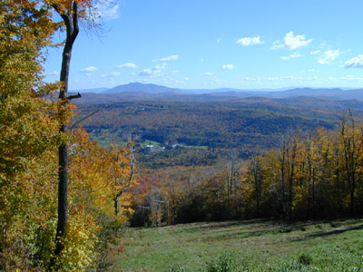 DSCN0976