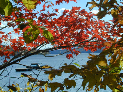 DSCN0989